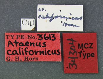 Media type: image;   Entomology 34304 Aspect: labels